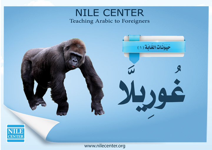 10 غوريلا Nile Learning Center